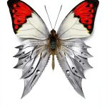 The Diabolic Italian YA eBook by Mondadori – 416‑Page Thriller-0